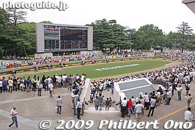 Right behind the Fuji View Stand is the paddock where you can view the horses before the race.
Keywords: tokyo fuchu race course horse racing 
