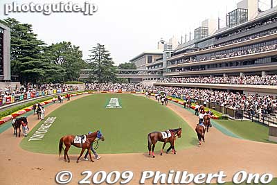 There were 12 races this day, and before each race the horses were paraded around the paddock for all to see.
Keywords: tokyo fuchu race course horse racing 