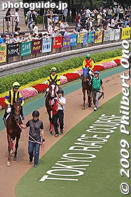 Also see [url=http://www.youtube.com/watch?v=j9GkWUmDHUU]my YouTube video here.[/url]
Keywords: tokyo fuchu race course horse racing 