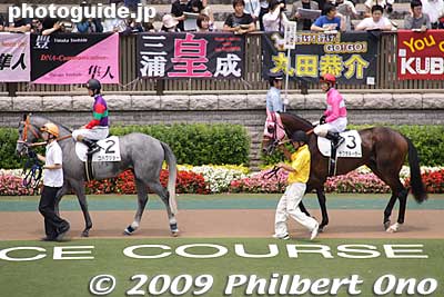 Jockeys later got on the horses in the paddock.
Keywords: tokyo fuchu race course horse racing 