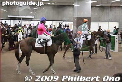 Horse preview in the Fuji View Stand basement. The jockeys are returning after a race.
Keywords: tokyo fuchu race course horse racing 