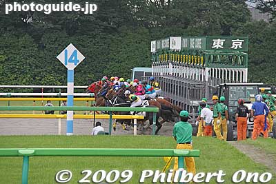 GO!! And there're off!!
Keywords: tokyo fuchu race course horse racing 