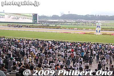 Keywords: tokyo fuchu race course horse racing 