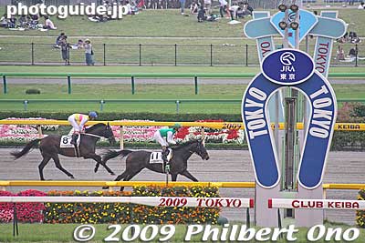 Finish line at Tokyo Racecourse. Also see [url=http://www.youtube.com/watch?v=j9GkWUmDHUU]my YouTube video here.[/url]
Keywords: tokyo fuchu race course horse racing 