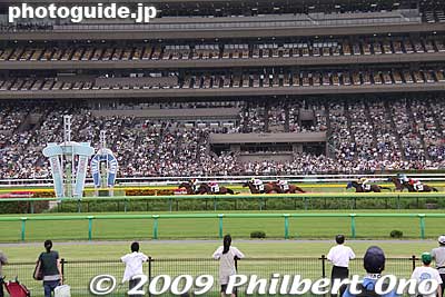 Horses reach the finish line.
Keywords: tokyo fuchu race course horse racing 