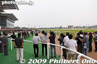 Winner's circle.
Keywords: tokyo fuchu race course horse racing 