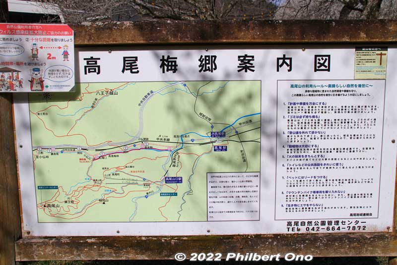 Riverside path map.
Keywords: tokyo hachioji takao baigo ume plum blossoms flowers