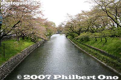 Tamagawa Josui Aqueduct lined with cherry trees. I missed the full bloom period.
Keywords: tokyo hamura tamagawa river josui canal