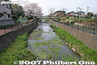 Ochiai River
Keywords: tokyo higashikurume river