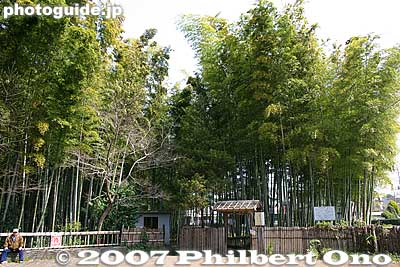 Entrance to the bamboo grove at Takebayashi Park. 竹林公園
Keywords: tokyo higashikurume takebayashi bamboo grove forest