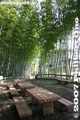 However, due to urban development, the bamboo groves were fast disappearing. So from 1974, the city decided to preserve this one bamboo grove.
Keywords: tokyo higashikurume takebayashi bamboo grove forest picnic tables
