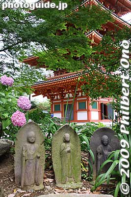 Keywords: tokyo hino takahata fudoson temple ajisai matsuri festival hydrangea flowers 