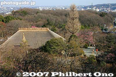 View from lookout point
Keywords: tokyo hino mogusaen garden