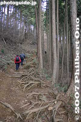 This is the trail from [url=http://photoguide.jp/pix/thumbnails.php?album=503]Mt. Mitake[/url] to Mt. Hinode.
Keywords: tokyo hinode-machi town hinodemachi hinodeyama hinode-yama mt. mountain hiking forest trees