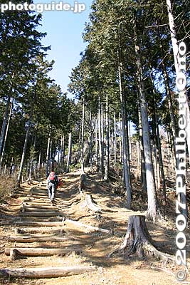Keywords: tokyo hinode-machi town hinodemachi hinodeyama hinode-yama mt. mountain hiking forest trees