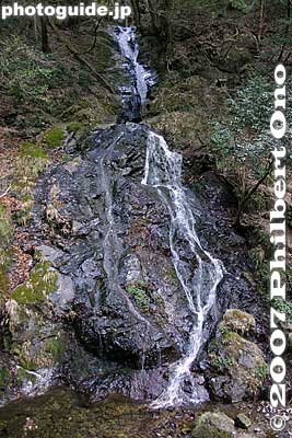 This is the famous Shiraiwa Waterfall. 白岩の滝
Keywords: tokyo hinode-machi town hinodemachi hinodeyama hinode-yama mt. mountain hiking forest trees