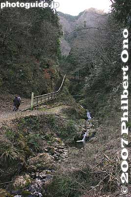 Trail to Shiraiwa Waterfalls
Keywords: tokyo hinode-machi town hinodemachi hinodeyama hinode-yama mt. mountain hiking forest trees