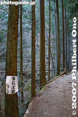Beware of falling rocks
Keywords: tokyo hinohara-mura village hossawa waterfall trees forest