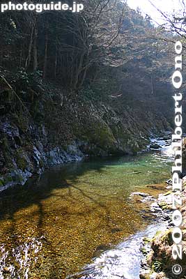 Gorge near Kichijoji Falls
Keywords: tokyo hinohara-mura village kichijoji waterfall