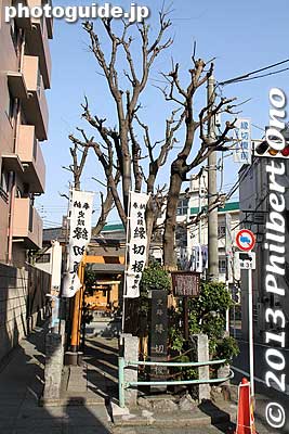 I thought this little shrine and Chinese hackberry tree was Itabashi-shuku's most interesting remnant.
Keywords: tokyo itabashi-ku itabashi-shuku post town nakasendo