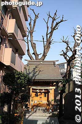 I call this the divorce shrine, opposite from the numerous en-musubi shrines (縁結びの神社) for making a connection/relationship (marriage partner, etc.).
Keywords: tokyo itabashi-ku itabashi-shuku post town nakasendo