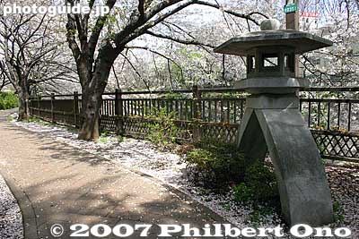 Stone lantern
Keywords: tokyo itabashi-ku ward shakujii river cherry blossoms flowers river trees