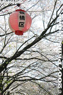 Paper lantern written with "Itabashi-ku."
Keywords: tokyo itabashi-ku ward shakujii river cherry blossoms flowers river trees