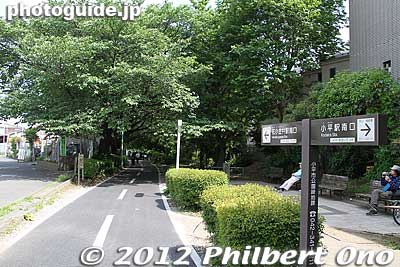 Entering Kodaira Green Road from Kodaira Station. Kodaira Green Road is a 21-km pedestrian and bike path lined with trees, flowers, and some old houses. Very pleasant. I walked 2.6 km of it from Kodaira Station to Hana-Koganei Station. 
Keywords: tokyo kodaira green road trees