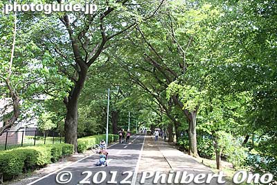The Road is split for pedestrians and bicyclists.
Keywords: tokyo kodaira green road trees