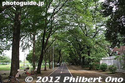 Lots of fresh air here.
Keywords: tokyo kodaira green road