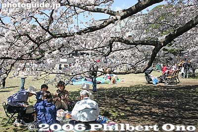 Cherry blossom tent
Keywords: tokyo koganei sakura cherry blossom park japanharu