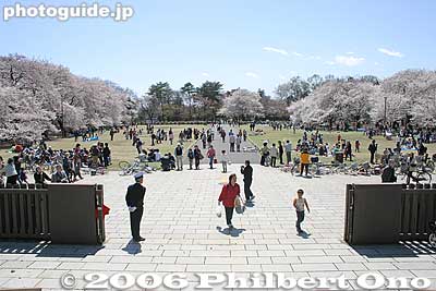 In front of entrance to visitors center
Keywords: tokyo koganei sakura cherry blossom park