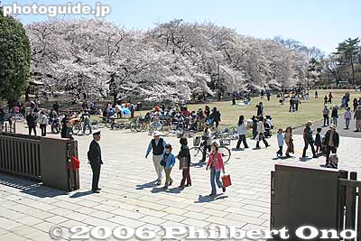 Going to visitors center
Keywords: tokyo koganei park architecture edo