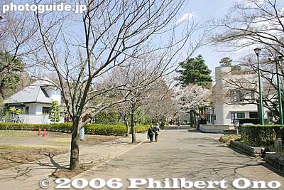 Yamanote-dori Road
Keywords: tokyo koganei park architecture edo