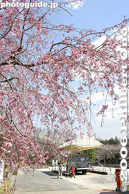 Keywords: tokyo koganei park architecture edo