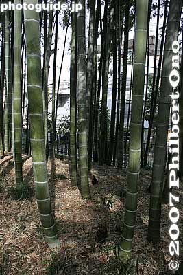 Keywords: tokyo kokubunji tonogayato teien garden bamboo