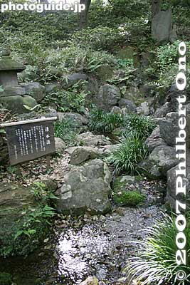 Natural spring 湧水
Keywords: tokyo kokubunji tonogayato teien garden spring water