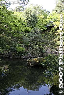 Benten Pond
Keywords: tokyo kokubunji tonogayato teien garden pine tree pond