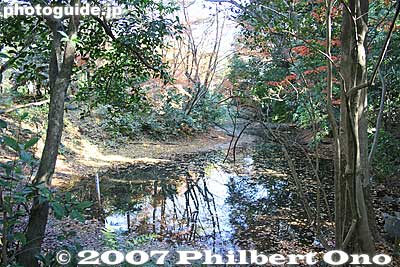 The area includes two ponds. Here's one called Hyotan Pond. ひょうたん池
Keywords: tokyo komae buddhist temple senryuji soto-shu