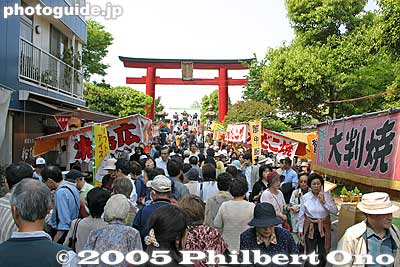 When the wisteria is in bloom, the shrine gets very crowded, especially on weekends. The alley leading to the shrine is also quite narrow.
Keywords: tokyo koto-ku Kameido Tenmangu Shrine Wisteria Festival fuji matsuri flowers torii