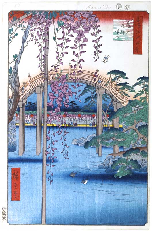Kameido Tenjin Shrine's wisteria made famous by Hiroshige's woodblock print from his series called "One Hundred Famous Views of Edo."
Keywords: tokyo koto-ku Kameido Tenmangu Shrine Wisteria Festival fuji matsuri flowers woodblock hiroshige