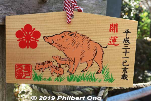 2019 was the Year of the Boar.
Keywords: tokyo koto-ku kameido tenmangu tenjin shrine jinja