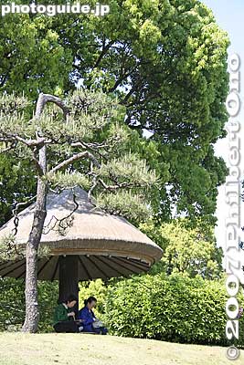 Kasa-tei 傘亭
Keywords: tokyo koto-ku ward kiyosumi teien gardens pond