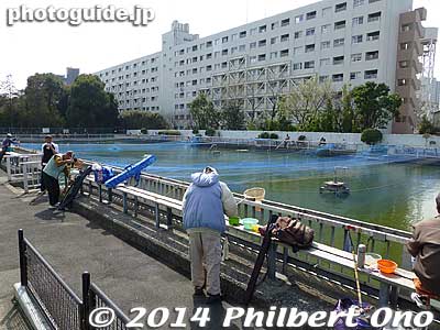 Fish pond open in summer and winter.
Keywords: tokyo koto-ku sendaibori park riverside