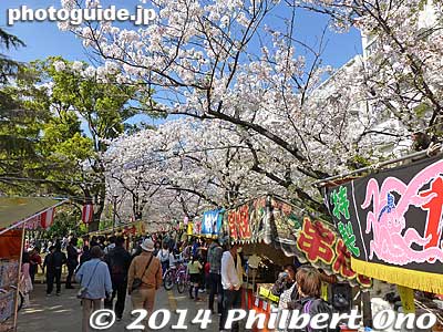 Keywords: tokyo koto-ku sendaibori park riverside sakura cherry blossoms flowers