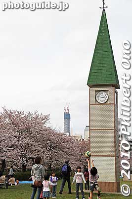 Tokyo Skytree under construction.
Keywords: tokyo koto-ku sarue onshi park flowers sakura cherry blossoms