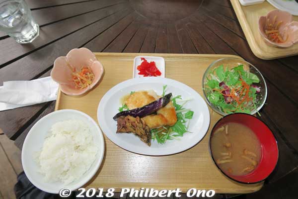 It wasn't exactly what we had planned for lunch, but it was good and healthy. At least we ate in Toyosu.
Keywords: tokyo koto-ku ward toyosu market