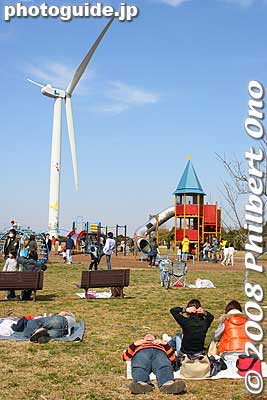 Keywords: tokyo koto-ku wakasu park windmill