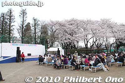 Entertainment stage too.
Keywords: tokyo kunitachi daigaku-dori road street cherry blossoms sakura flowers 