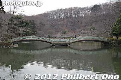 Taiko-bashi Bridge in Yakushi Ike Pond.
Keywords: tokyo machida yakushi ike pond koen park